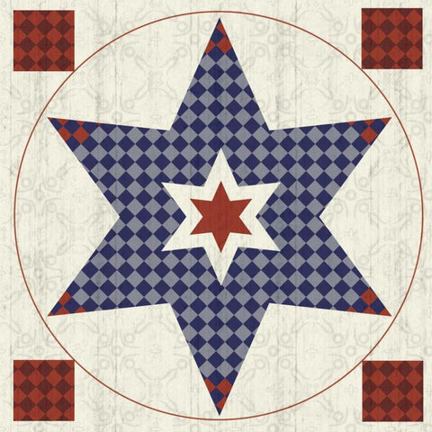 Star White Modern Wood Framed Art Print with Double Matting by Gibbons, Lauren