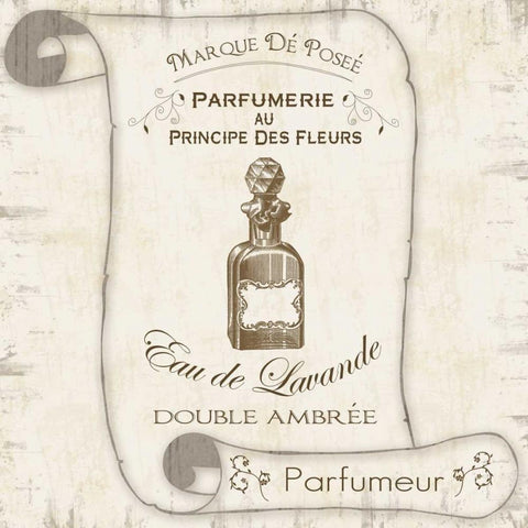 Scroll Bath Perfume Black Modern Wood Framed Art Print with Double Matting by Gibbons, Lauren