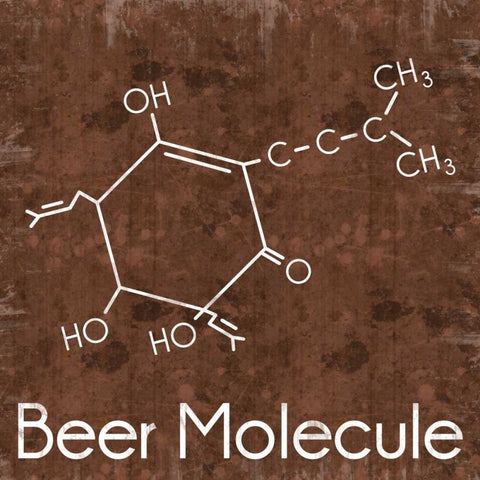 Beer Molecule 2 Brown Black Ornate Wood Framed Art Print with Double Matting by Gibbons, Lauren