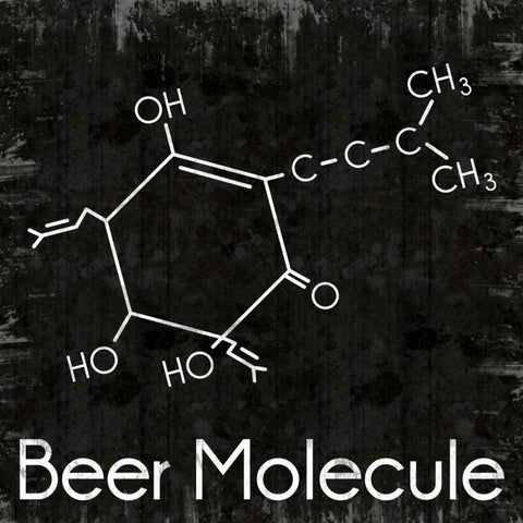 Beer Molecule 2 White Modern Wood Framed Art Print with Double Matting by Gibbons, Lauren