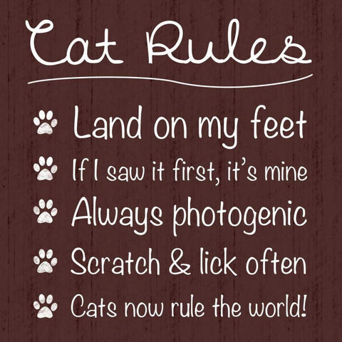 Cat Rules White Modern Wood Framed Art Print with Double Matting by Gibbons, Lauren