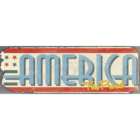 America White Modern Wood Framed Art Print by Grey, Jace