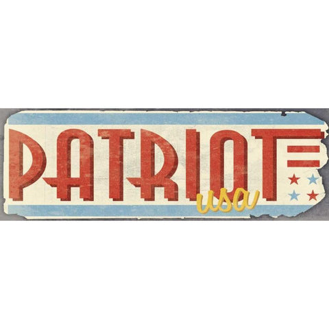 Patriot White Modern Wood Framed Art Print by Grey, Jace