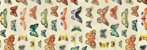 Butterflies White Modern Wood Framed Art Print with Double Matting by Grey, Jace