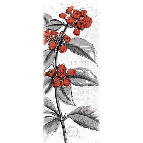 Red Flower Black Modern Wood Framed Art Print with Double Matting by Grey, Jace