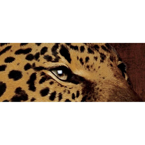 Leopard Eyes Gold Ornate Wood Framed Art Print with Double Matting by Grey, Jace