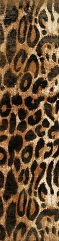 Animal Print1 Black Ornate Wood Framed Art Print with Double Matting by Grey, Jace