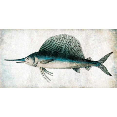 Swordfish White Modern Wood Framed Art Print by Grey, Jace