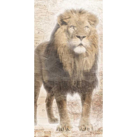 African Traveling  Animals Three Black Modern Wood Framed Art Print with Double Matting by Grey, Jace