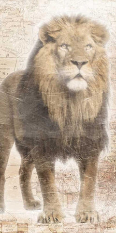 African Traveling  Animals Three Black Ornate Wood Framed Art Print with Double Matting by Grey, Jace