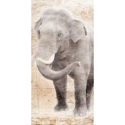 African Traveling  Animals Elephant Gold Ornate Wood Framed Art Print with Double Matting by Grey, Jace