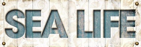 Sea Life Black Ornate Wood Framed Art Print with Double Matting by Grey, Jace