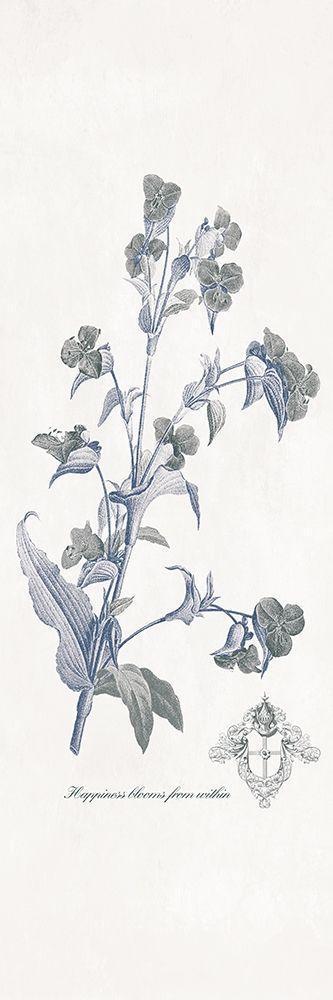 Image Only