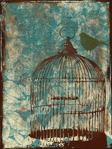 Birdcage on Teal 1 Black Ornate Wood Framed Art Print with Double Matting by Grey, Jace