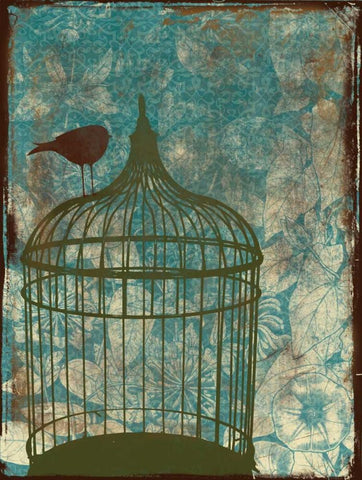 Birdcage on Teal 2 White Modern Wood Framed Art Print with Double Matting by Grey, Jace