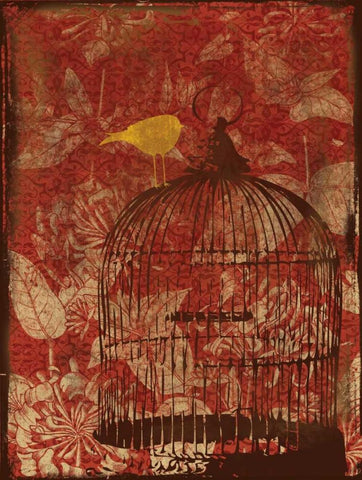 Birdcage on Red 1 White Modern Wood Framed Art Print with Double Matting by Grey, Jace