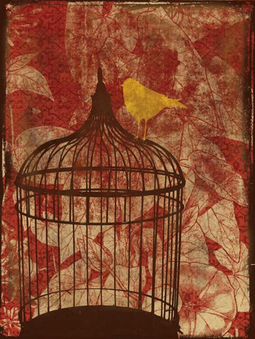 Birdcage on Red 2 White Modern Wood Framed Art Print with Double Matting by Grey, Jace