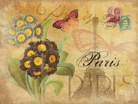 Paris Postcard 6 Black Ornate Wood Framed Art Print with Double Matting by Grey, Jace