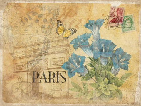 Paris Postcard 7 Black Ornate Wood Framed Art Print with Double Matting by Grey, Jace