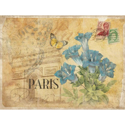 Paris Postcard 7 Black Modern Wood Framed Art Print with Double Matting by Grey, Jace