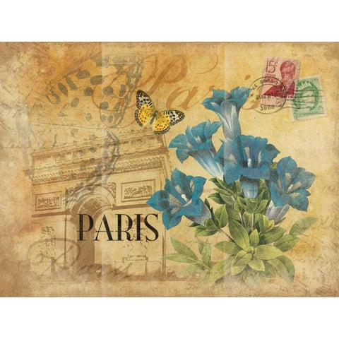 Paris Postcard 8 Black Modern Wood Framed Art Print with Double Matting by Grey, Jace