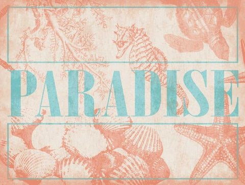 Paradise Shells Black Ornate Wood Framed Art Print with Double Matting by Grey, Jace