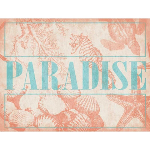 Paradise Shells Black Modern Wood Framed Art Print by Grey, Jace