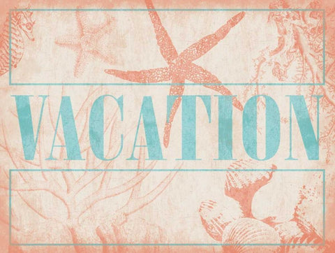 Vacation Shells Black Ornate Wood Framed Art Print with Double Matting by Grey, Jace