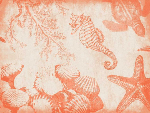 Sea Life in Tangerine 1 Black Ornate Wood Framed Art Print with Double Matting by Grey, Jace