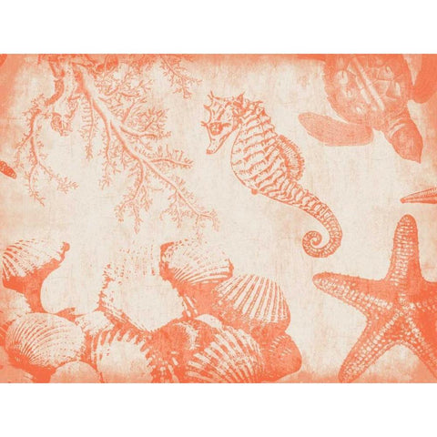 Sea Life in Tangerine 1 Black Modern Wood Framed Art Print by Grey, Jace