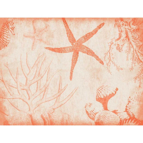 Sea Life in Tangerine 2 Black Modern Wood Framed Art Print with Double Matting by Grey, Jace