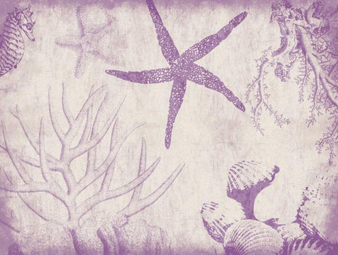 Sea Life in Plum 2 White Modern Wood Framed Art Print with Double Matting by Grey, Jace
