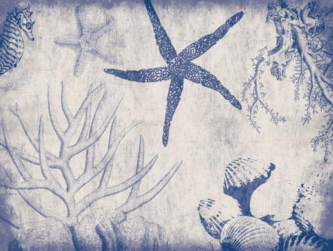 Sea Life in Navy 2 White Modern Wood Framed Art Print with Double Matting by Grey, Jace