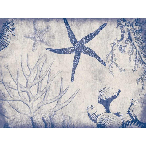 Sea Life in Navy 2 Gold Ornate Wood Framed Art Print with Double Matting by Grey, Jace