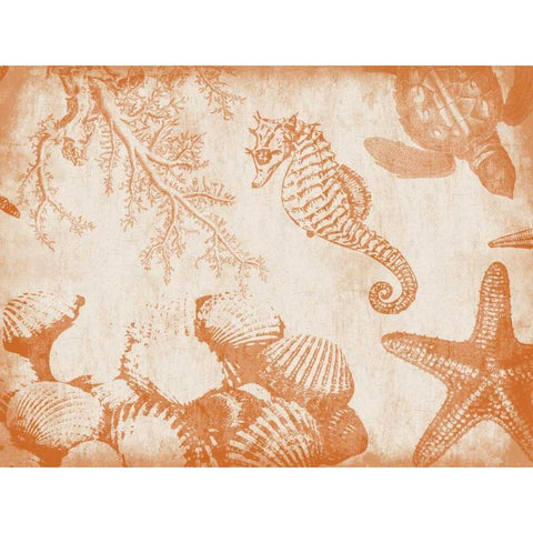 Sea Life in Burnt Orange 1 White Modern Wood Framed Art Print by Grey, Jace