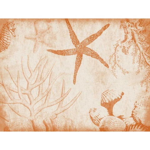 Sea Life in Burnt Orange 2 Black Modern Wood Framed Art Print with Double Matting by Grey, Jace