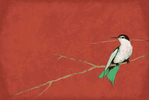 Birds A White Modern Wood Framed Art Print with Double Matting by Grey, Jace