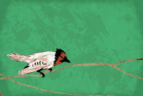 Birds B White Modern Wood Framed Art Print with Double Matting by Grey, Jace