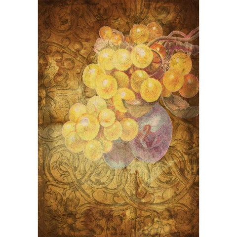 Grapes D Black Modern Wood Framed Art Print with Double Matting by Grey, Jace