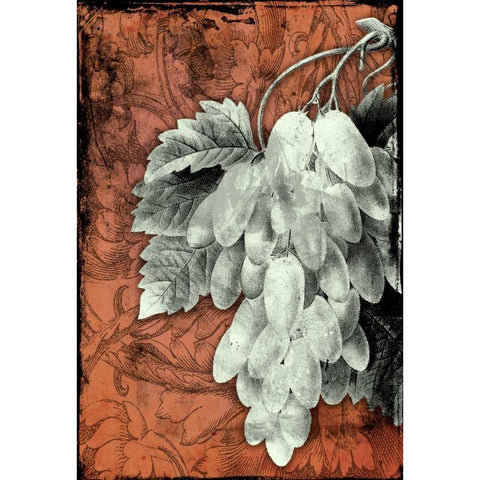 Grapes E White Modern Wood Framed Art Print by Grey, Jace