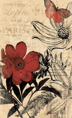Paris A Black Ornate Wood Framed Art Print with Double Matting by Grey, Jace