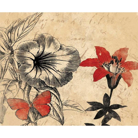 Wisdom Floral No  World Black Modern Wood Framed Art Print with Double Matting by Grey, Jace