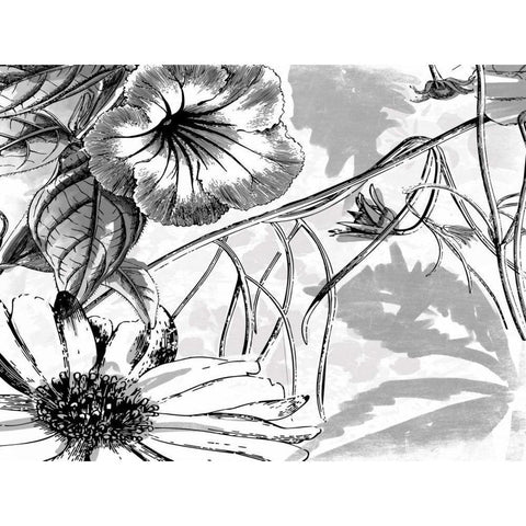 Simple BW Flower White Modern Wood Framed Art Print by Grey, Jace