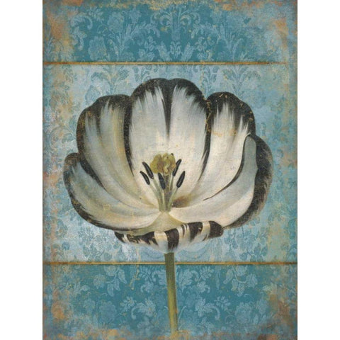 Single Flower 1 Black Modern Wood Framed Art Print with Double Matting by Grey, Jace