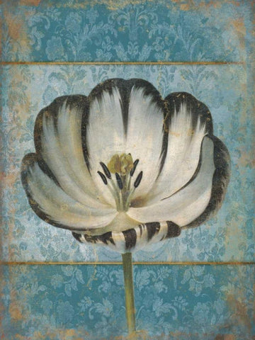 Single Flower 1 White Modern Wood Framed Art Print with Double Matting by Grey, Jace