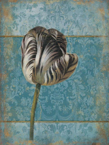 Single Flower 2 Black Ornate Wood Framed Art Print with Double Matting by Grey, Jace