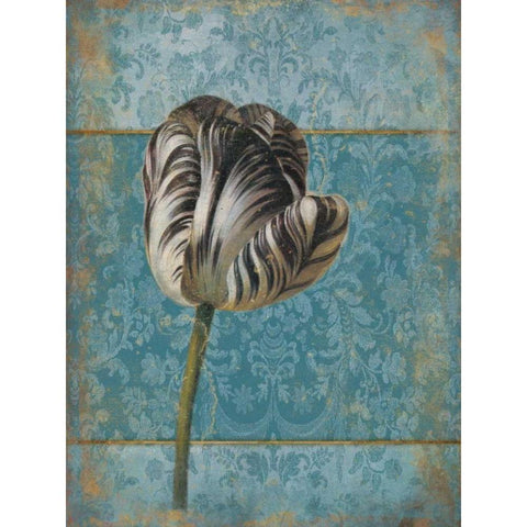 Single Flower 2 Black Modern Wood Framed Art Print with Double Matting by Grey, Jace