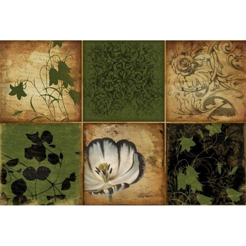 Green Florals Black Modern Wood Framed Art Print with Double Matting by Grey, Jace