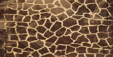 Animal Print 3 Black Ornate Wood Framed Art Print with Double Matting by Grey, Jace