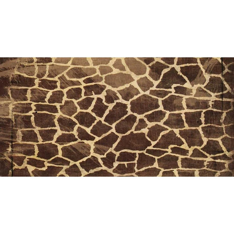 Animal Print 3 Black Modern Wood Framed Art Print with Double Matting by Grey, Jace